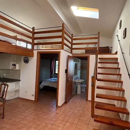 La tana dei Ricci-3