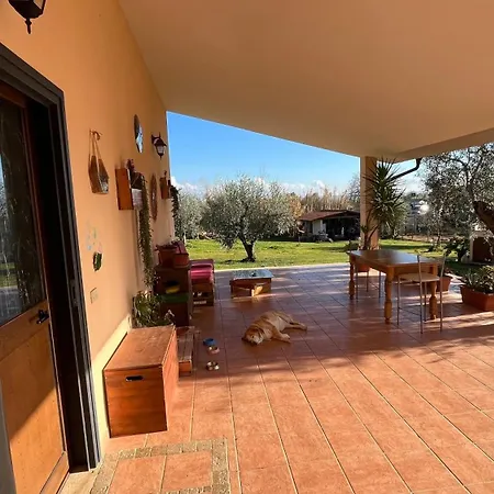 La tana dei Ricci-2